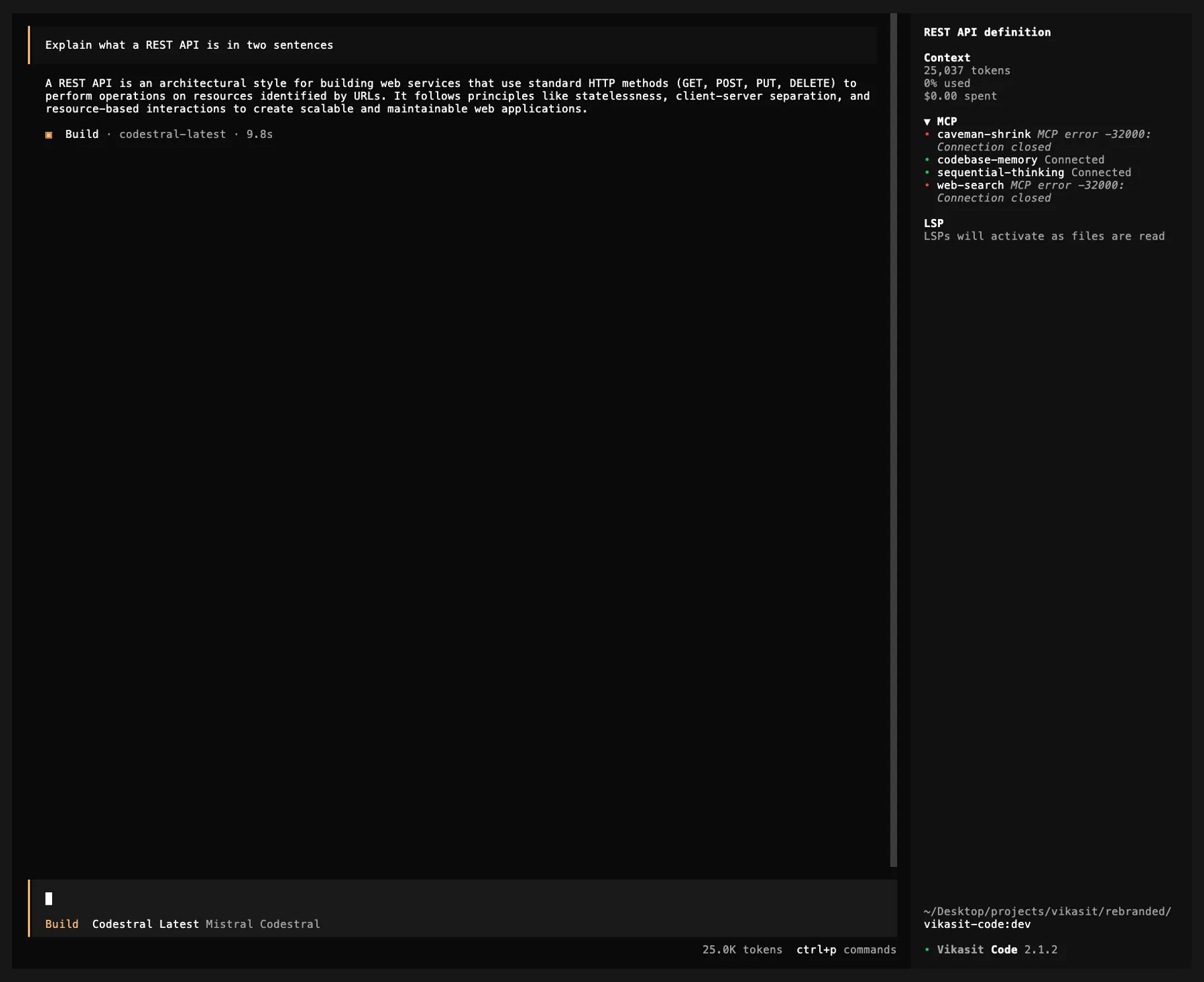 Vikasit Code TUI with the vikasit theme